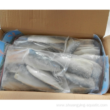 Chinese Export Frozen Fish Mackerel Fillets